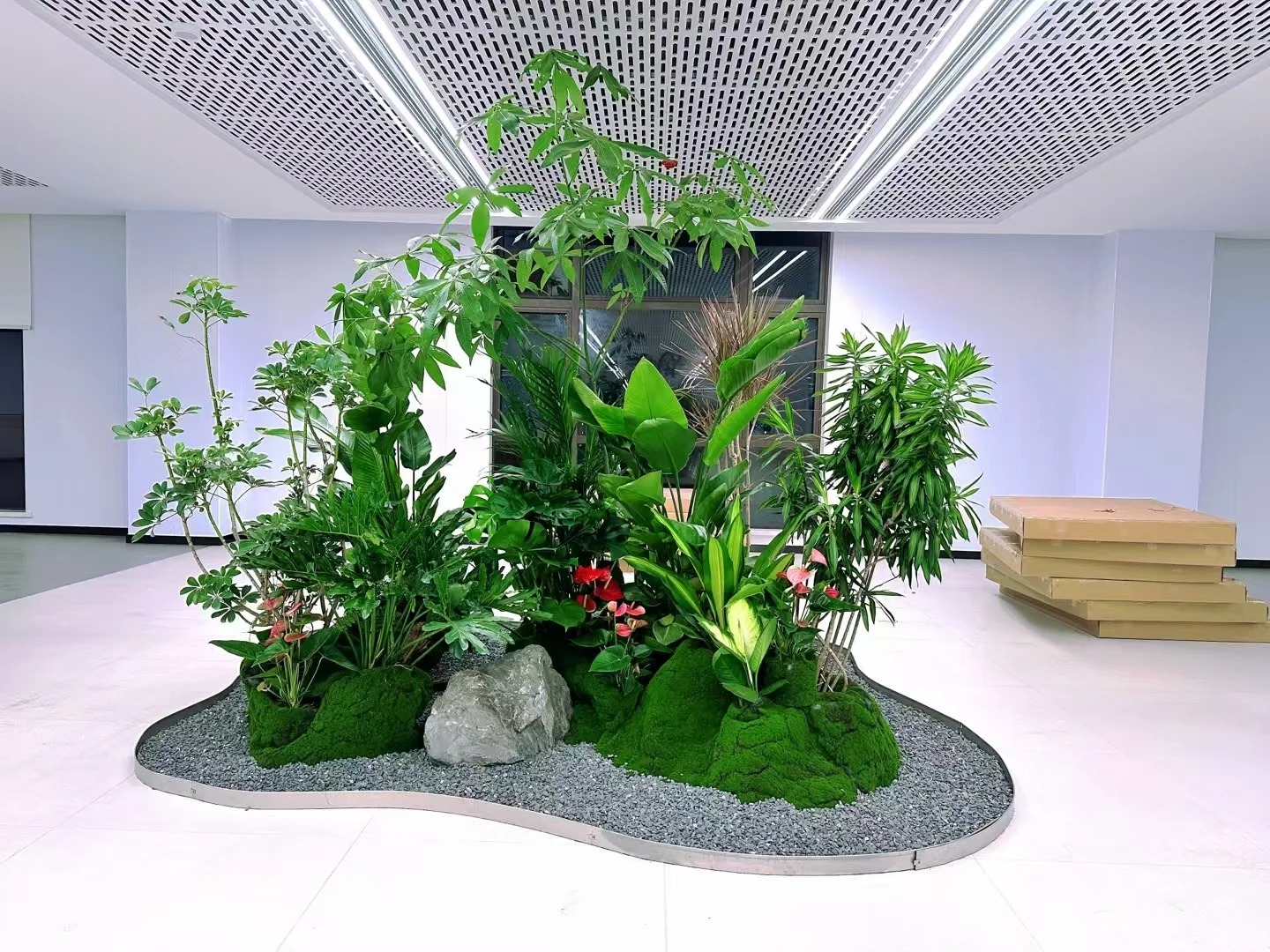 优质服务的宁波江北盆景出租,快来!